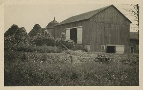 Haystacks and Barn