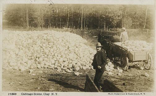 Cabbage Mound, Clay, New York