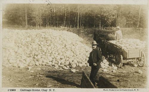 Cabbage Mound, Clay, New York