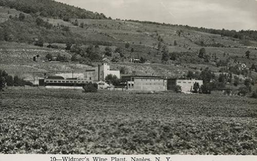 Widmer's Wine Plant, Naples, New York