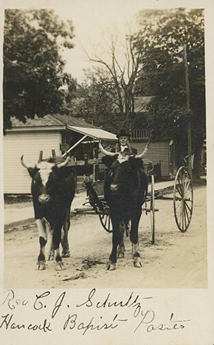 Reverend on a Oxen-Drawn Wagon