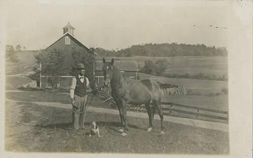 Man with Dog and Horse