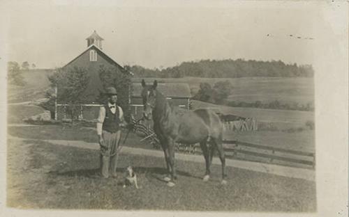 Man with Dog and Horse