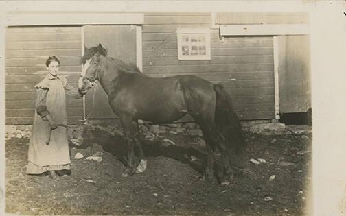 A Woman and Horse