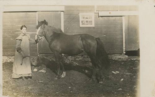 A Woman and Horse