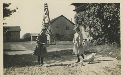 Girls Feeding Chickens