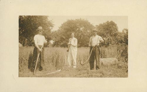 Three Men in Field with Scythes