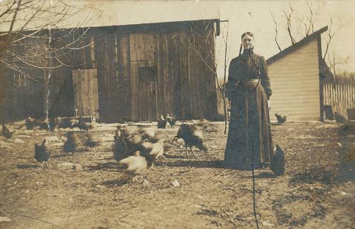 Woman with Brood of Chickens