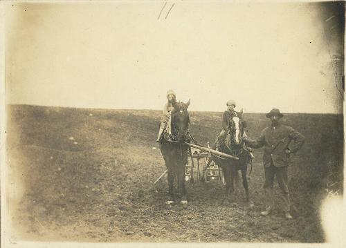 Cultivating a Field