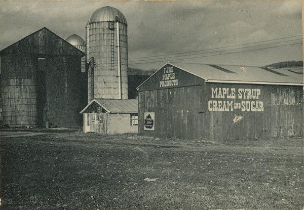 Farm with Maple Syrup Advertisement