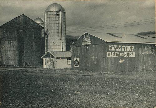 Farm with Maple Syrup Advertisement