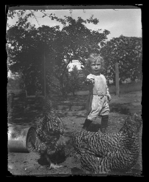 Child with Chickens