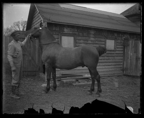 Man in front of Shed with Horse