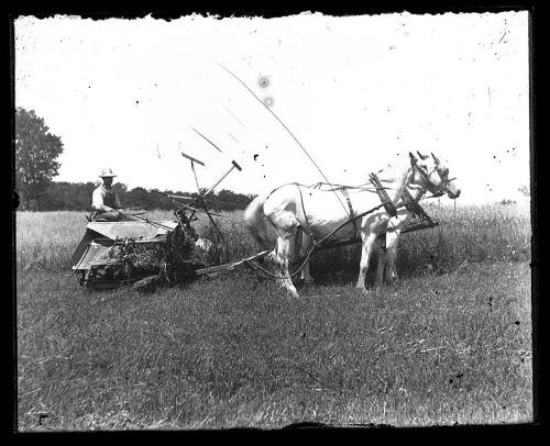 Working in a Field of Grain