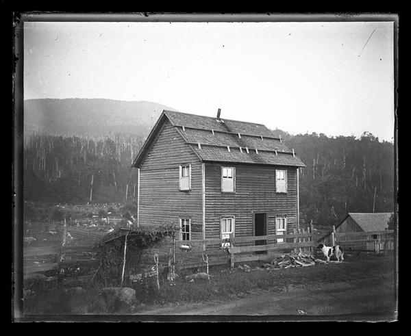 House near Logged Hills