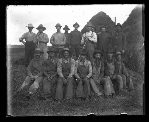 Threshing Crew