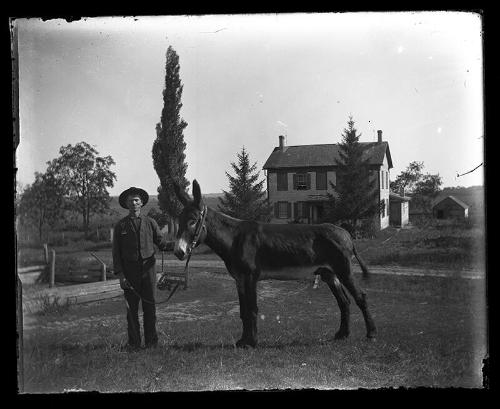 Man and his Donkey