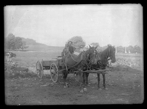Man with Dog on a Wagon