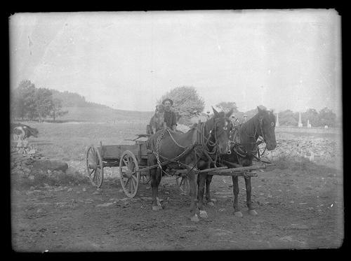 Man with Dog on a Wagon