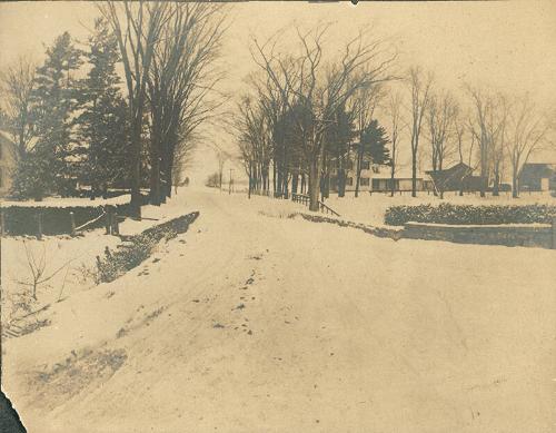 Snowy Roadway 2