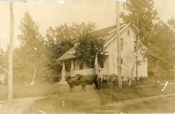 Man with Oxen