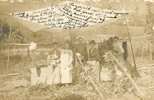 Hop Picking