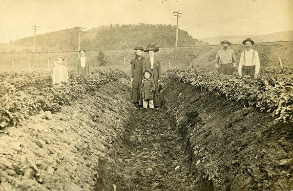 Family in a Field of White Celery