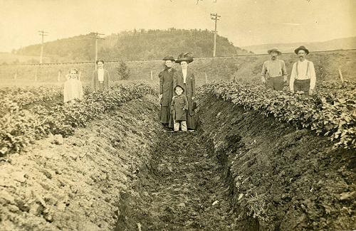 Family in a Field of White Celery