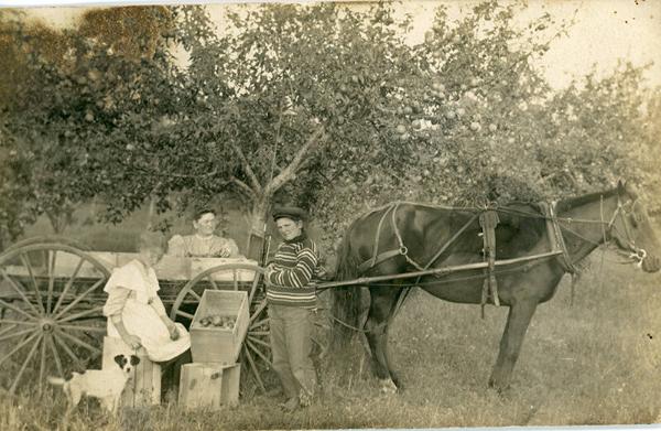 Apple Picking