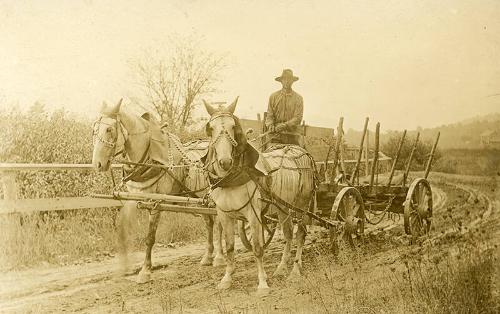 Farm Wagon