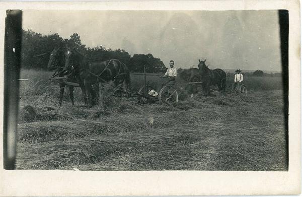 Horse Drawn Mowers