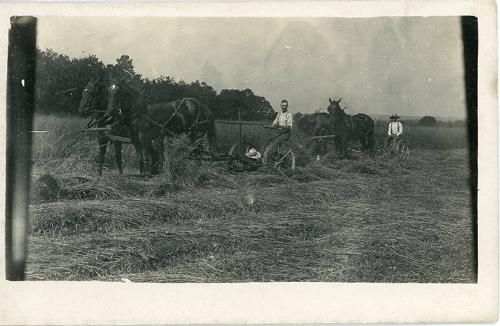 Horse Drawn Mowers