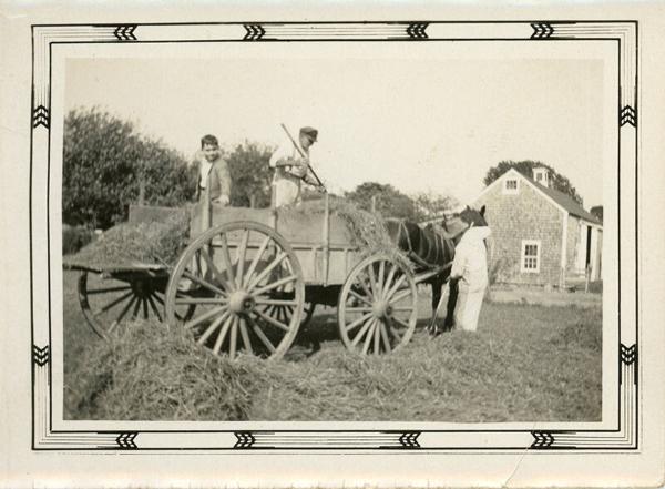 Pitching Hay