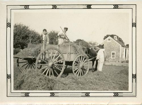 Pitching Hay