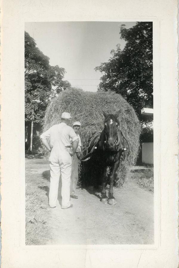 Transporting Hay