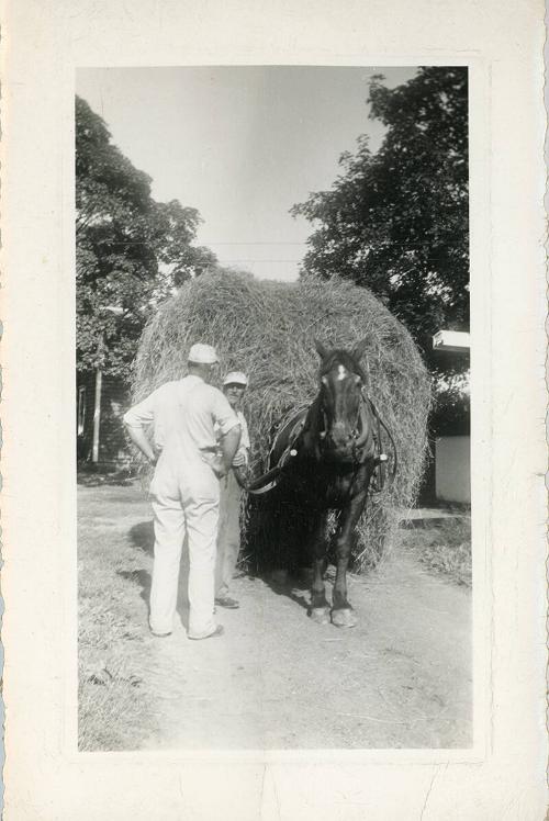 Transporting Hay