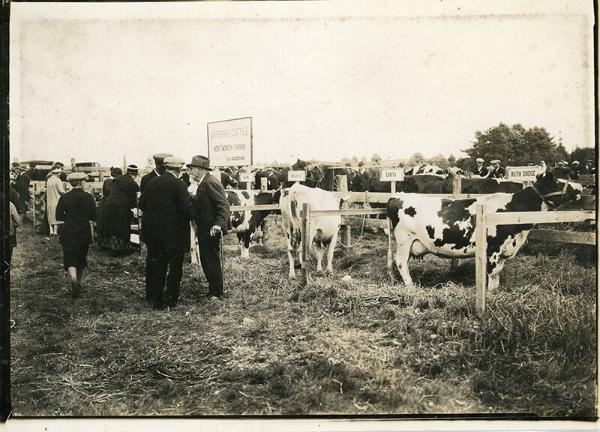 Wentworth Farms