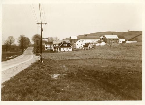 Farm Scene