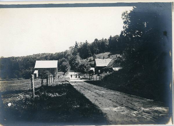 Park Trail