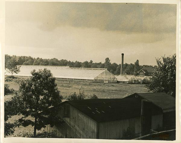 Greenhouses