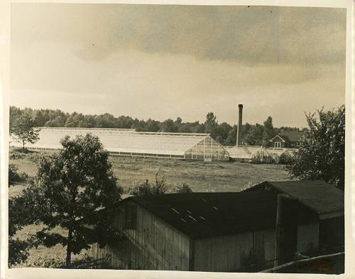 Greenhouses