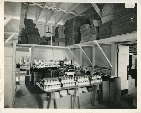 Canning Factory Packaging