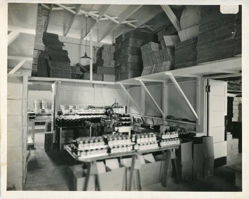 Canning Factory Packaging