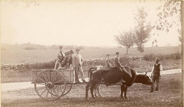 Family on a Wagon 2