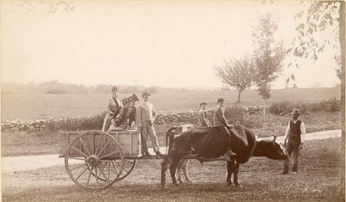 Family on a Wagon 2
