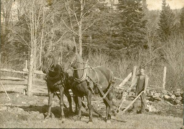 Plowing a Field