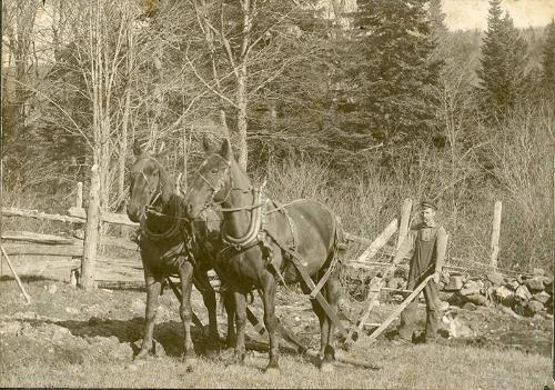 Plowing a Field