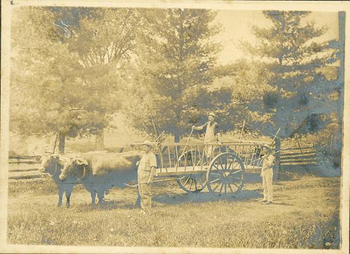 Farm Work