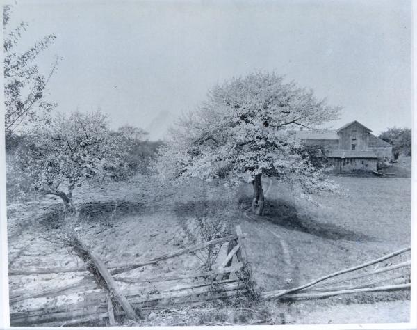 Farm Scene