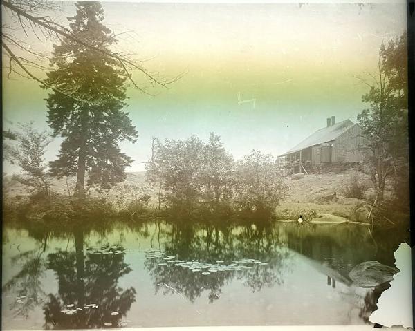 Pond Scene